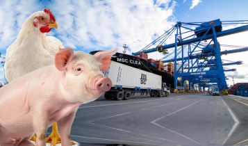 exportacoes de carne batem recorde no brasil