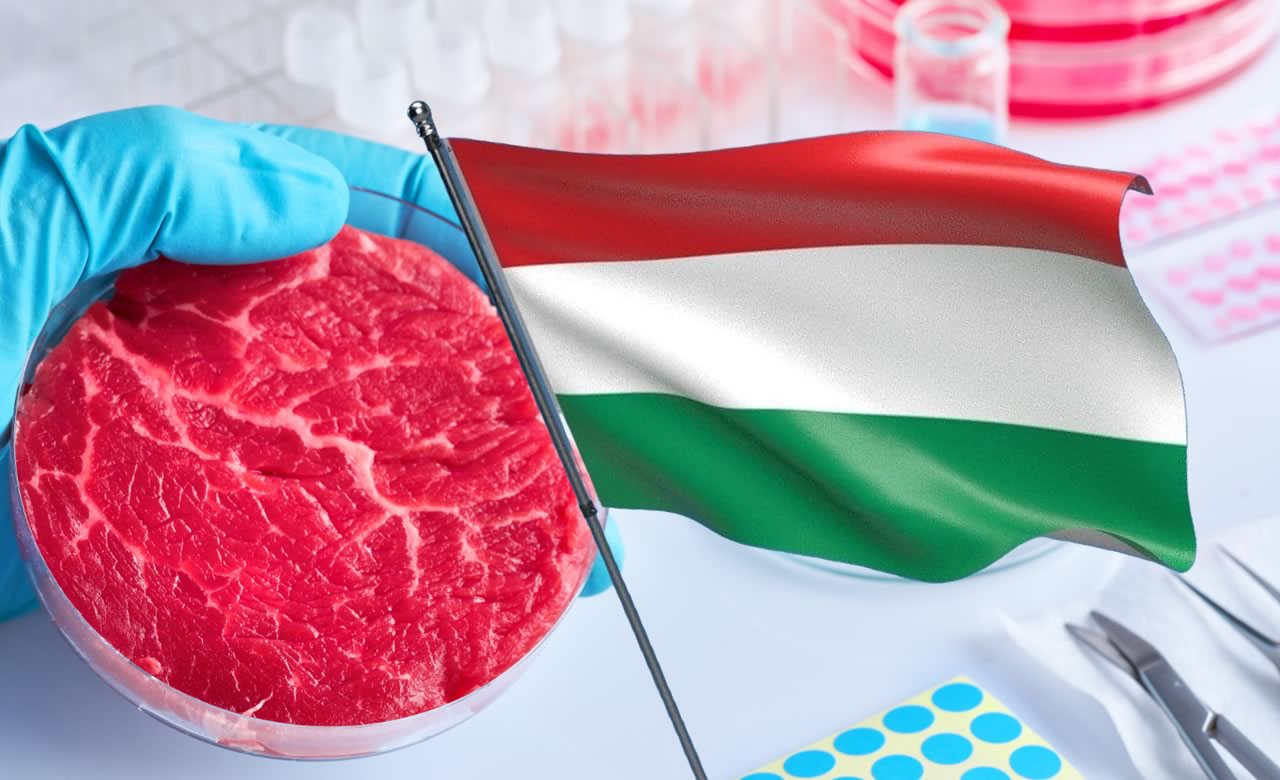 Seguindo exemplo da Itália, Hungria estuda proibir carne cultivada