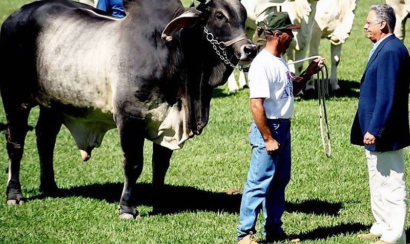 O lado rural dos políticos brasileiros: conheça suas fazendas