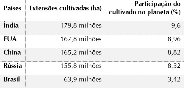 Ocupação do solo no mundo: um panorama geral