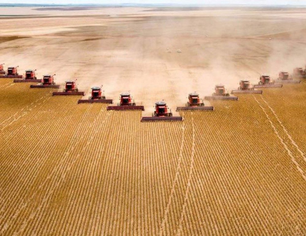 cidades mais ricas do agro