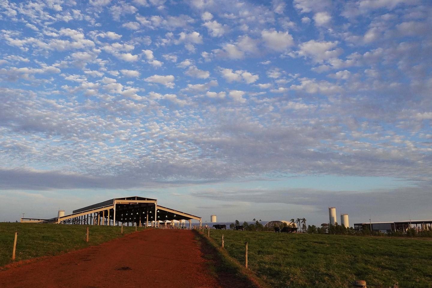 fazenda canto porto