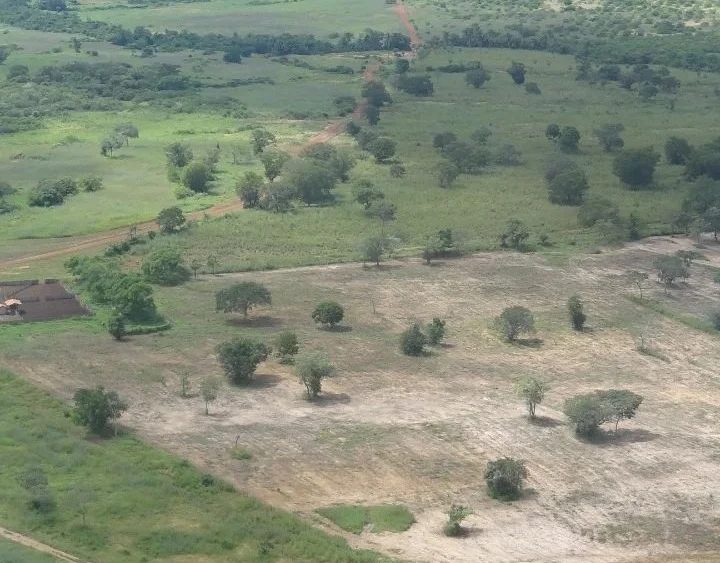 fazenda a venda