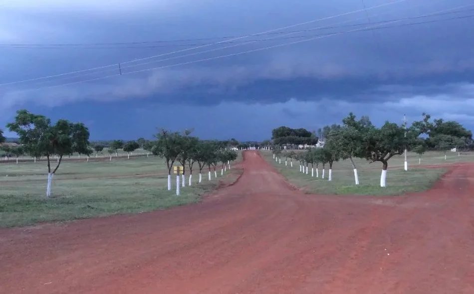 fazenda a venda