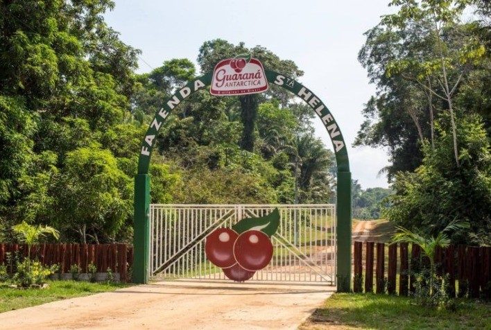 Conheça a fazenda de cerveja da Ambev; fotos