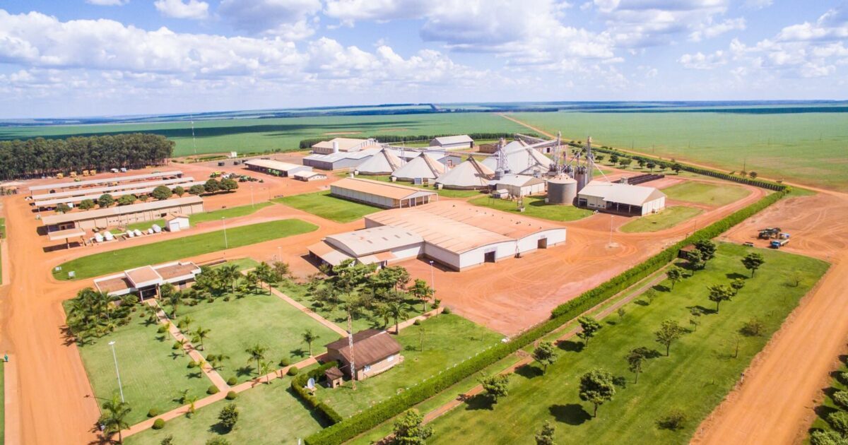 Grupo Scheffer compra 5% de participação na SLC Agrícola