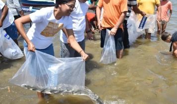 Mutirão solta 150 mil peixes em municípios de Sergipe no fim de semana