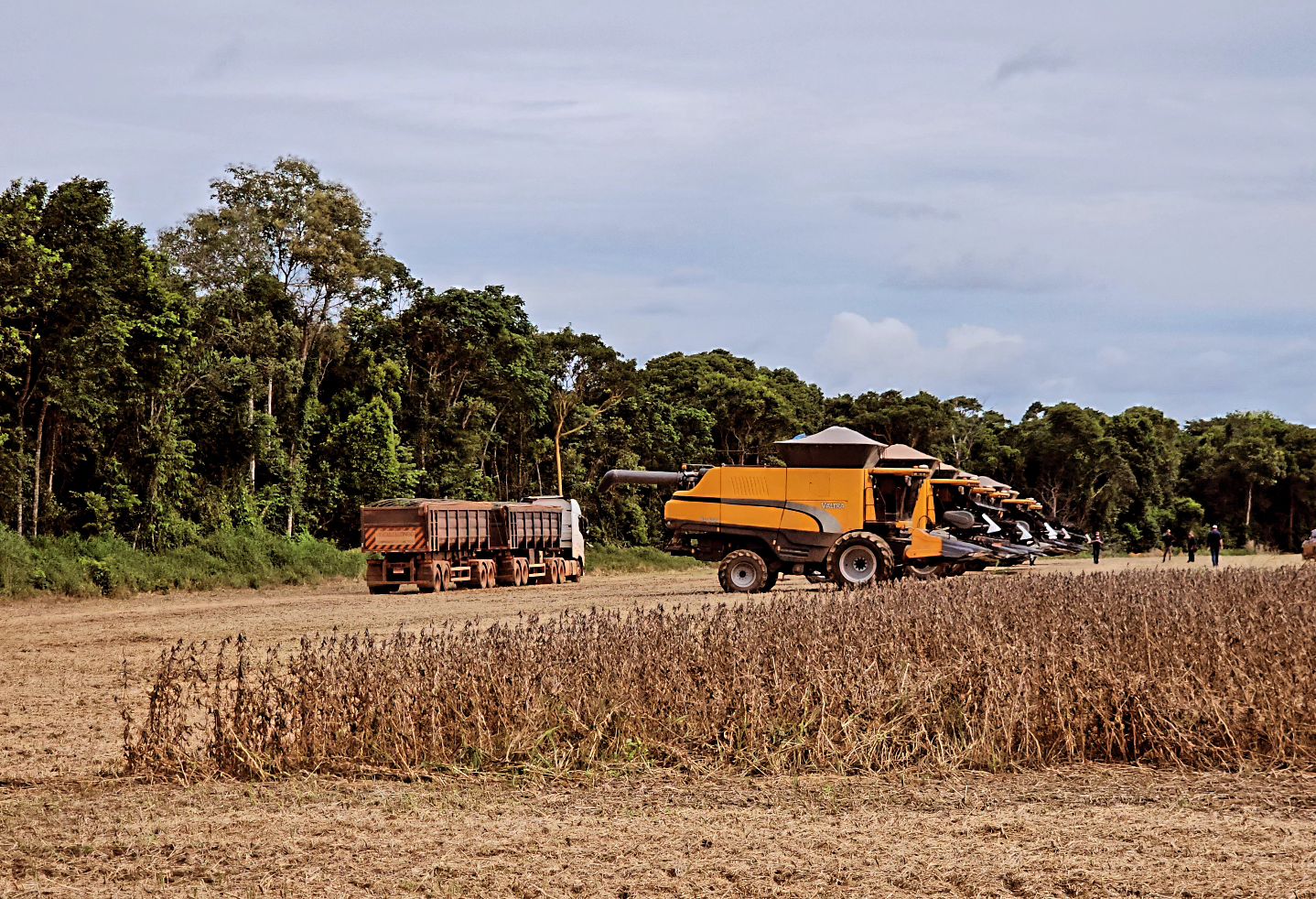 Colheita de soja no mato grosso - valtra - talhao de soja - fotao top