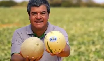 maior produtor de mossoró