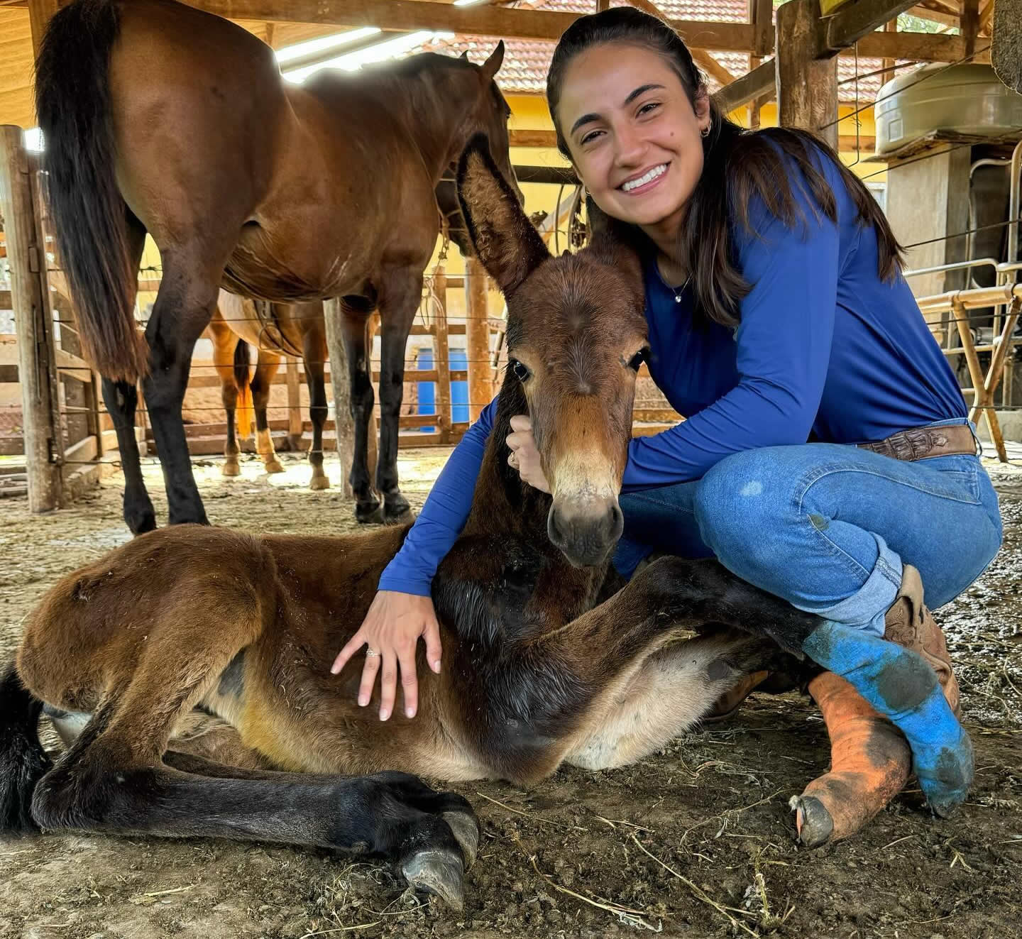 Medica veterinaria Tayna Souza