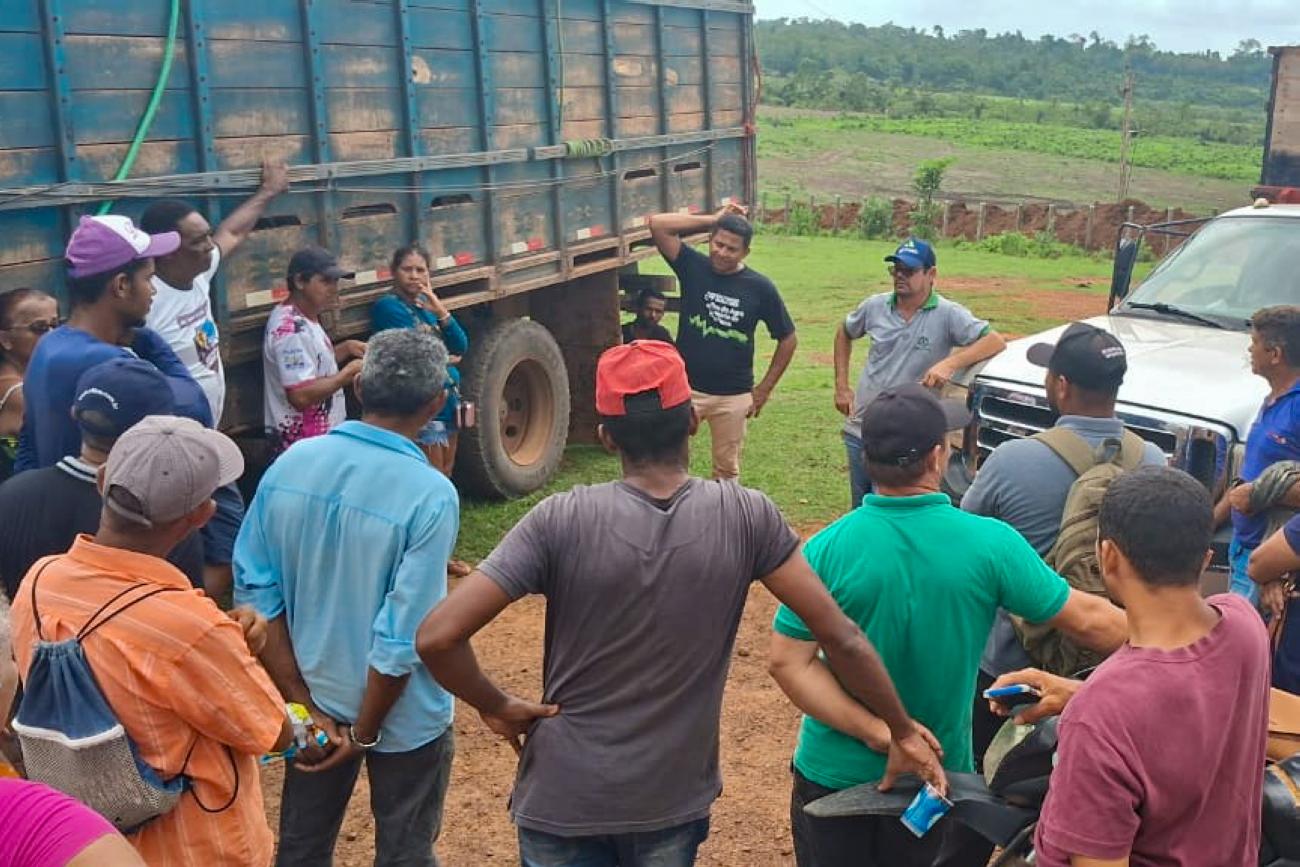 Pequenos pecuaristas são beneficiados pela Emater com doação de gado