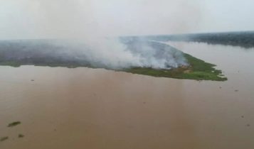 incêndio no pantanal