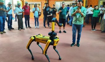 cão-robô no show rural