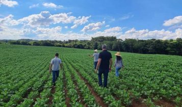 Linha revolucionária da Fertsan ganha o biomodulador fisiológico FT Poly Campo, destinado ao cultivo da soja