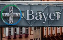 bayer