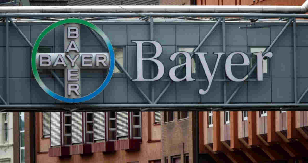 bayer