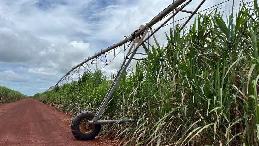 Fazenda São José, BrasilAgro