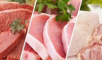 Brasil vai exportar 12,8 milhões de t de carnes em 2033