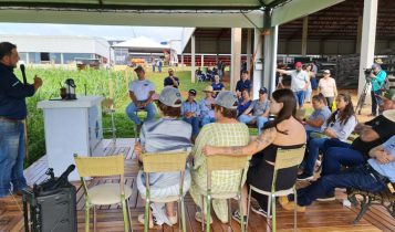 Projeto lavoura de carne na prática
