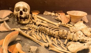 Com a transição para a agricultura e a consequente sedentarização, houve uma adaptação do esqueleto humano a esse novo modo de vida.