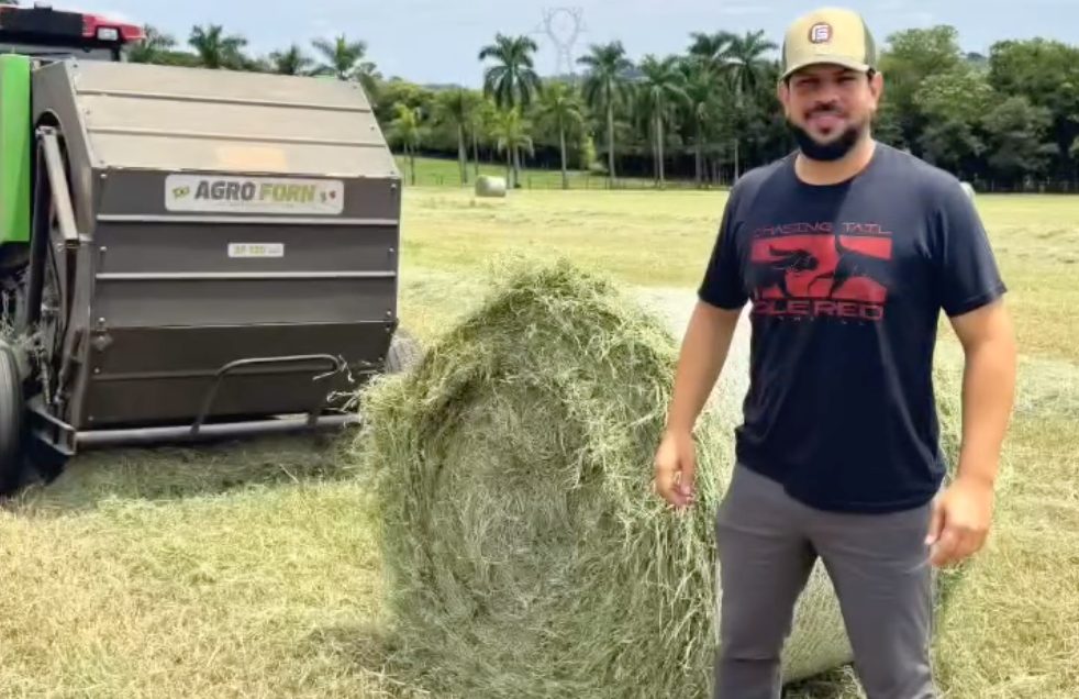 sorocaba produzindo feno na fazenda - rancho quarto de milha