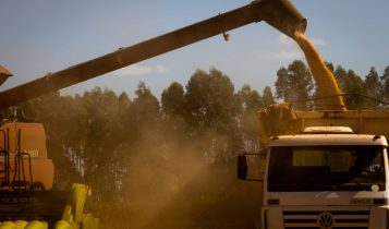 Além dos produtores de milho, o anúncio do plano para renegociação de parcelas de operações de crédito rural de investimento contempla produtores de soja, pecuária bovina e leite. (Divulgação CNA)