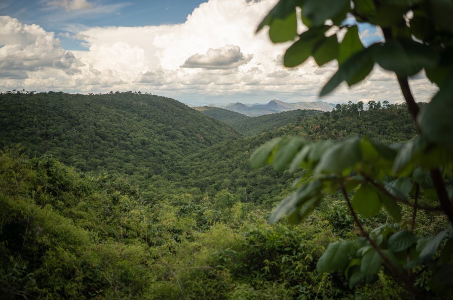 Fazenda Bulcão foi reconhecida como RPPN (Reserva Particular do Patrimônio Natural) e o casal fundou a ONG Instituto Terra