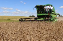 Otimismo marca abertura oficial da colheita da soja no rio grande do sul