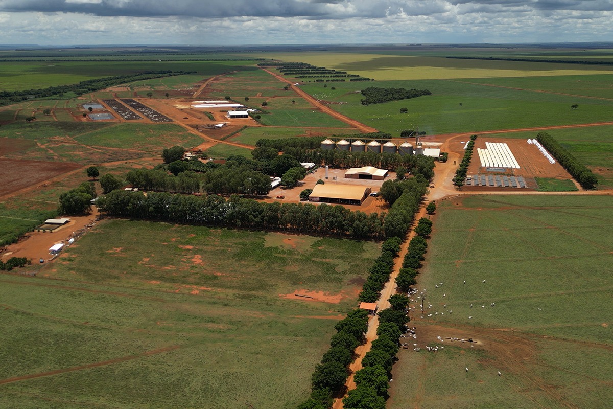 Fazenda em Mato Grosso é referência para a pecuária nacional