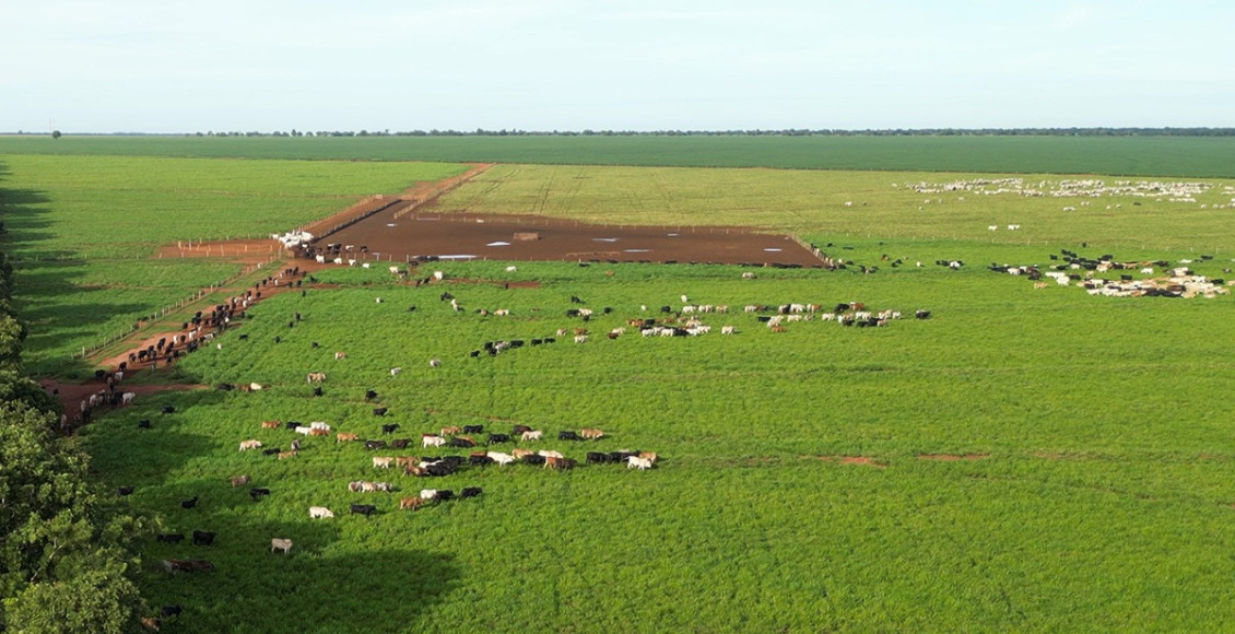 Produtividade e sustentabilidade na pratica - Dia de campo na fazenda Santa Maria - da agropecuaria Cutolo