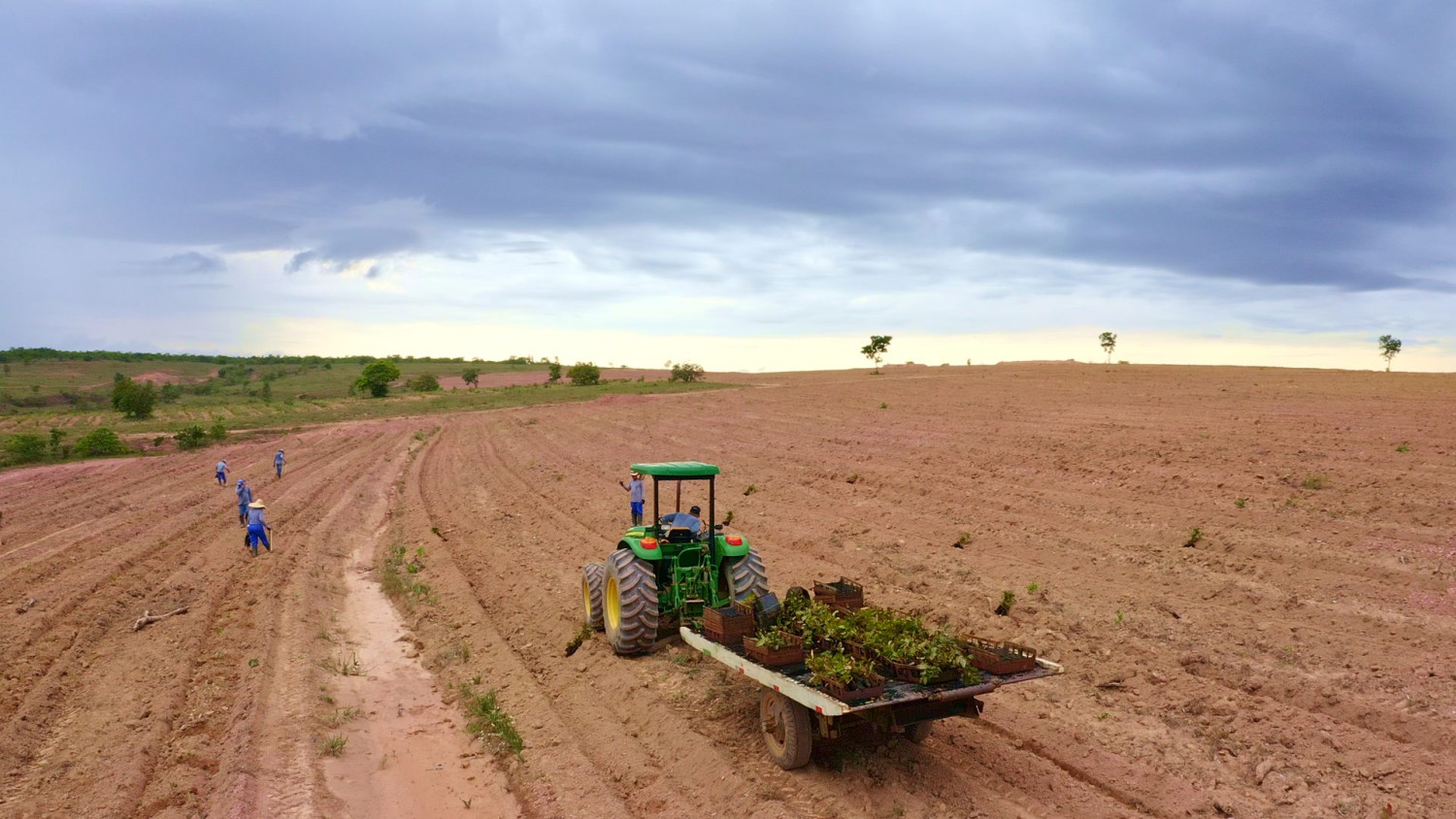 Embrapa capacitará técnicos de países africanos em produção agrícola