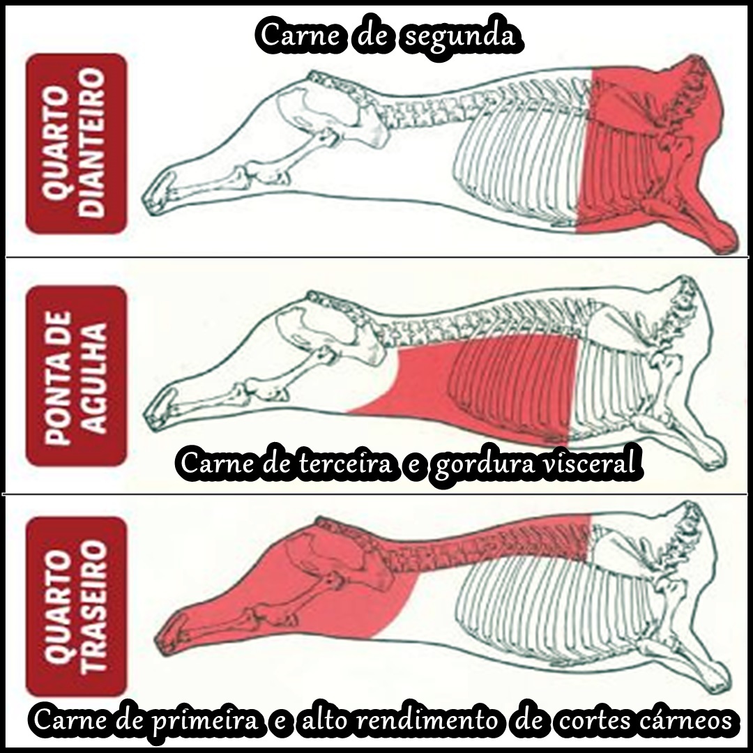 Voce-sabe-diferenciar-carne-de-primeira-segunda-e-terceira