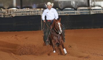André Sampaio: Uma vida dedicada ao mundo dos cavalos