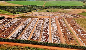 Fazenda Conforto