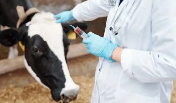 As carreiras do futuro no campo: conheça 8 graduações em alta no agro