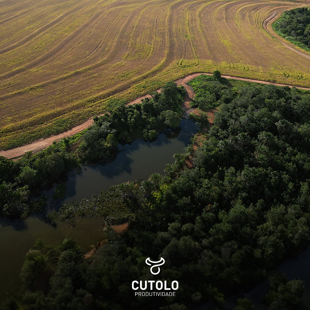 fazenda Santa Maria - da agropecuaria Cutolo