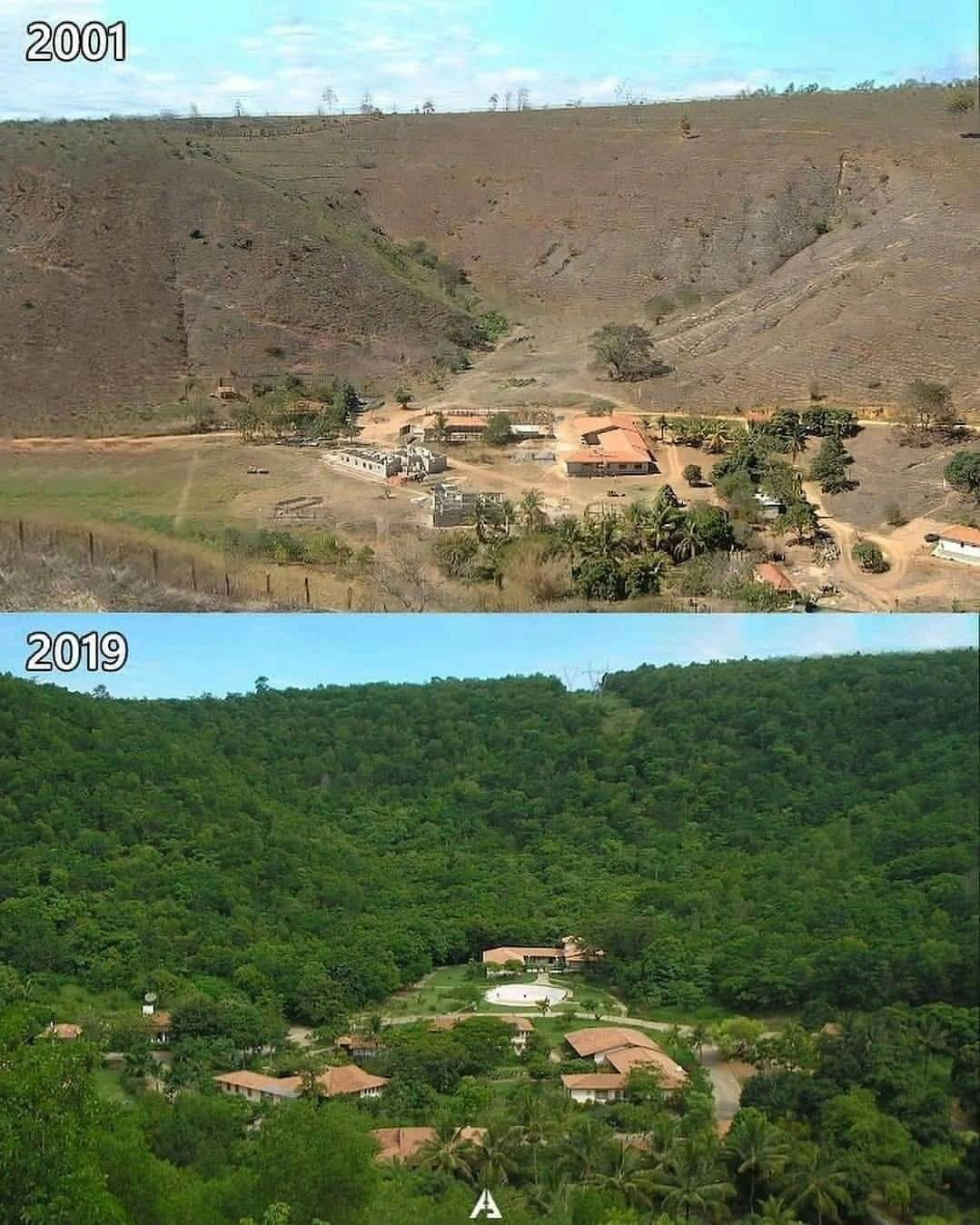 fazenda e reflorestada