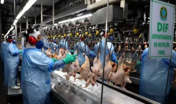 Vendas externas de frango são recordes no 1º tri