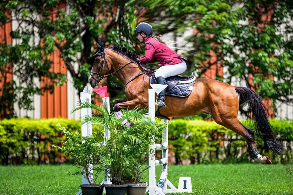 cavalo bicampeão de hipismo