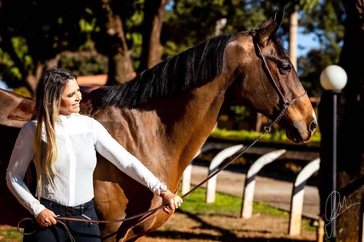 cavalo bicampeão de hipismo