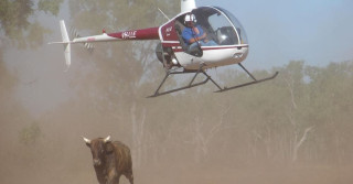 Cowboys de helicóptero