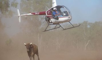 Cowboys de helicóptero