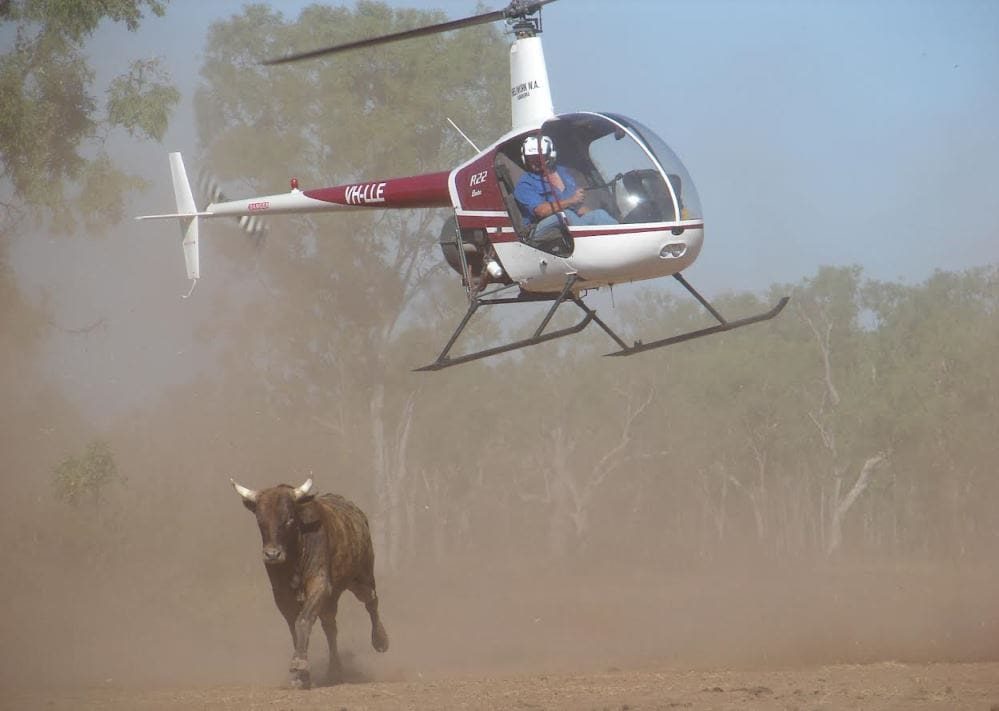 Cowboys de helicóptero