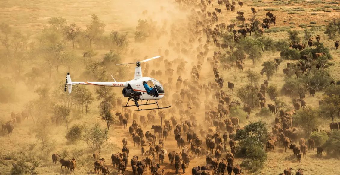 Cowboys de helicóptero