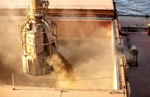 Exportação de soja