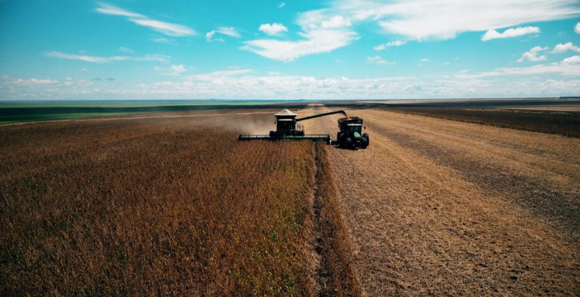 "Anel de soja" ajuda no escoamento da produção de mais de 5 mi de toneladas de grãos