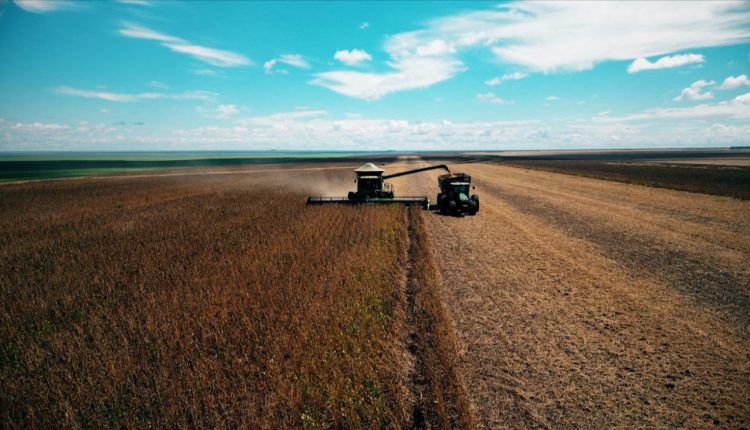 "Anel de soja" ajuda no escoamento da produção de mais de 5 mi de toneladas de grãos