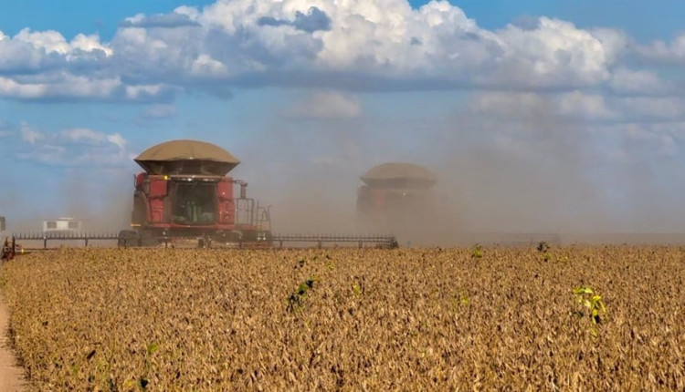 Consultoria atualiza previsões das safras de soja e milho para 2023/2024