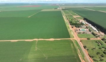 Foto: Divulgação/Boa Safra