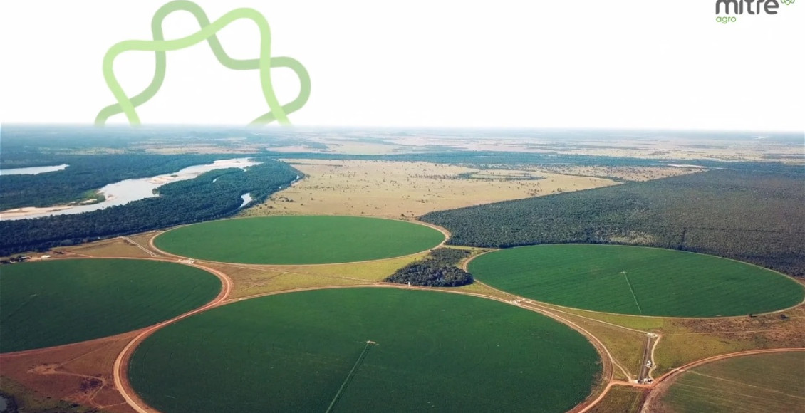 Elisa Agro é uma das maiores empresas de agricultura irrigada do país